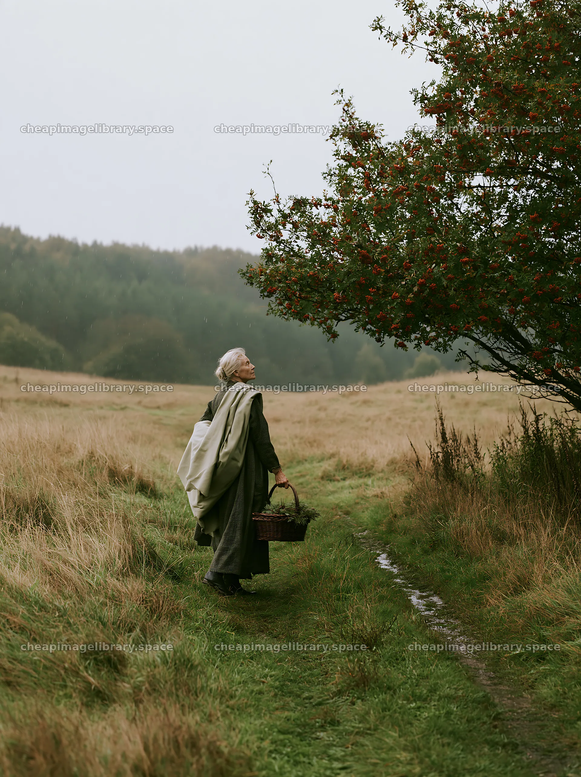 Older woman gathering fruit in a meadow during a cloudy day – image library 6866x9174
