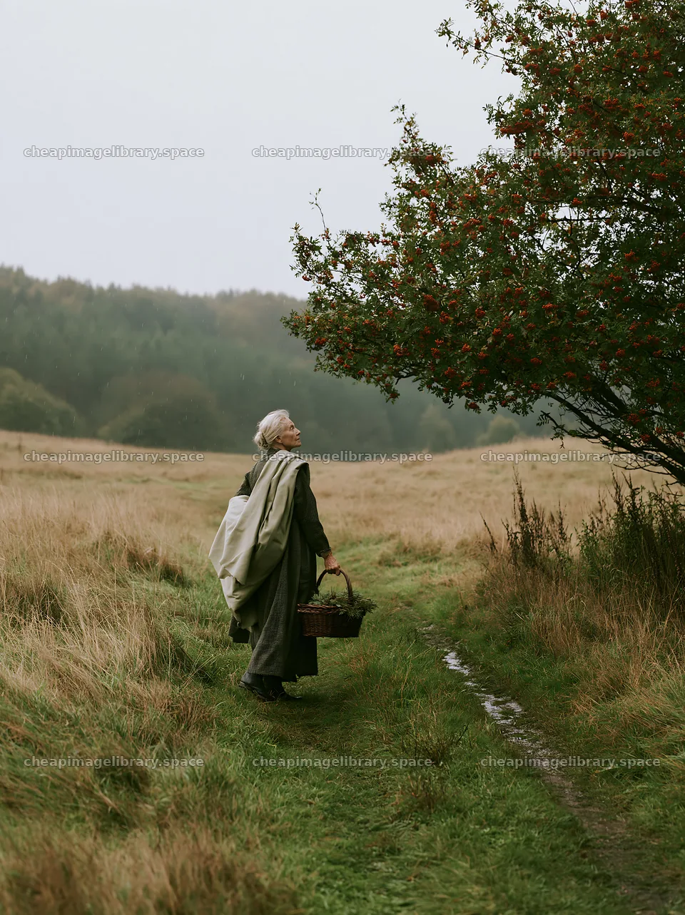Older woman gathering fruit in a meadow during a cloudy day – image library 6866x9174