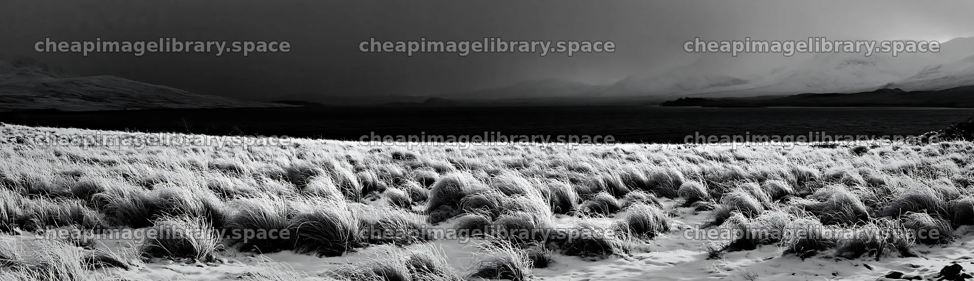 Snowy lakeside meadow with dark sky and grass – image library 14762x4268