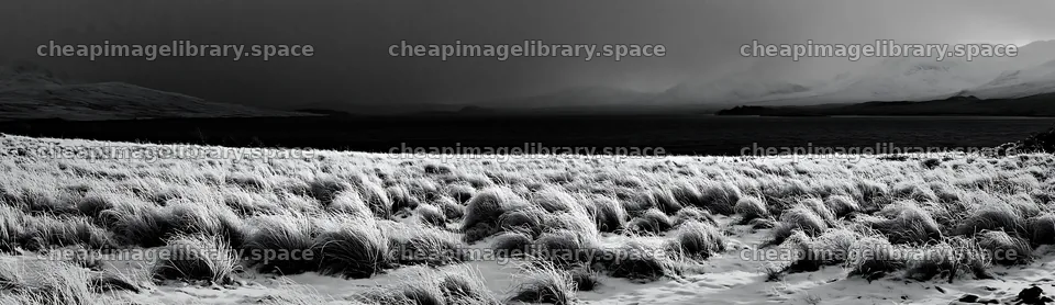 Snowy lakeside meadow with dark sky and grass – image library 14762x4268