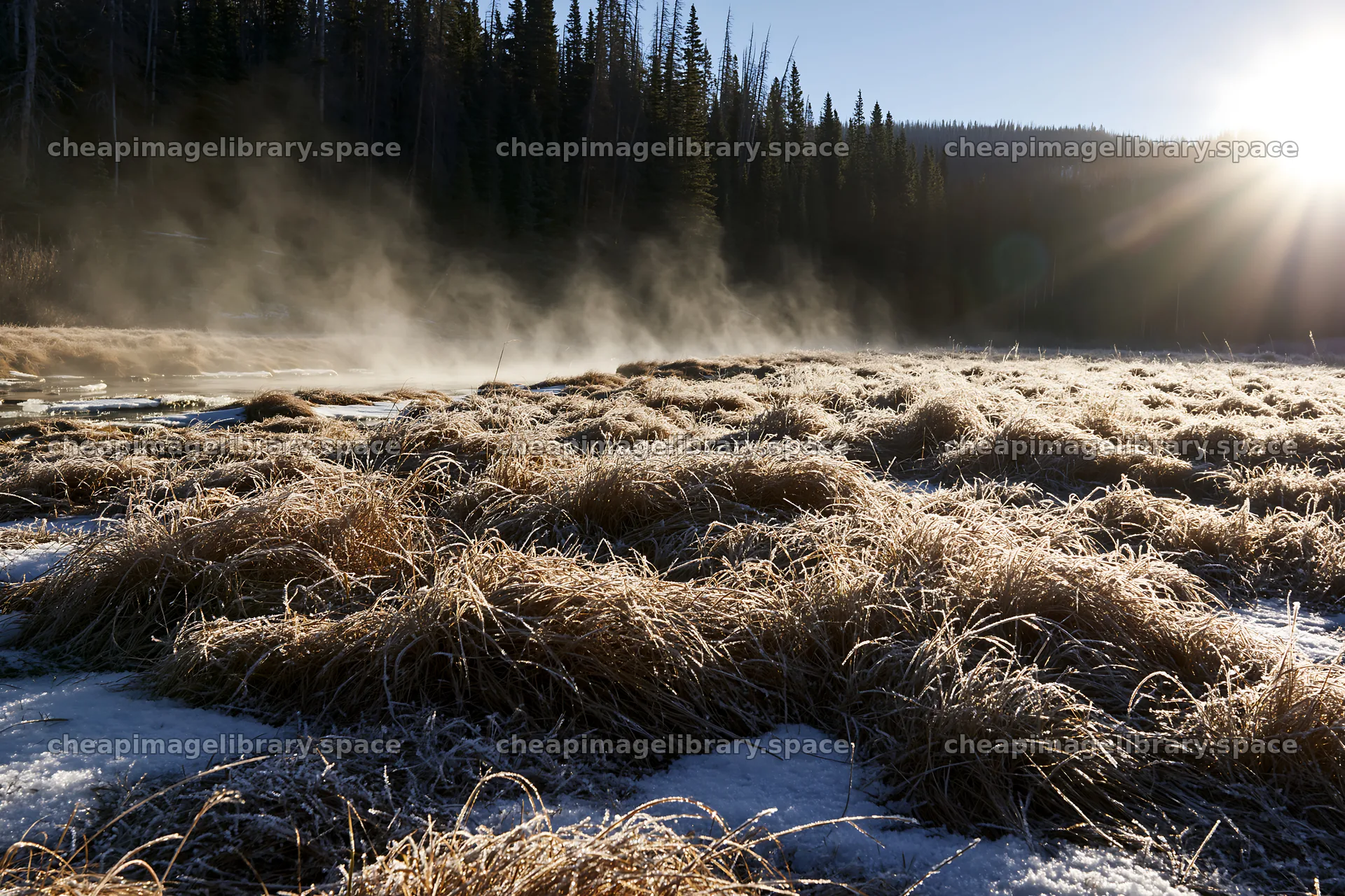 Snowy Rocky Mountain Park meadow captures winter landscape – image library 9722x6480