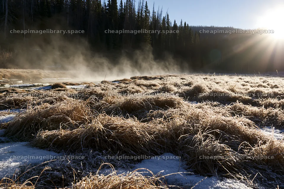 Snowy Rocky Mountain Park meadow captures winter landscape – image library 9722x6480