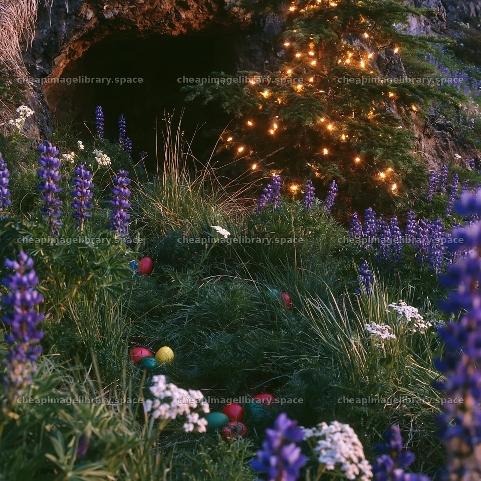 Christmas tree with lights near cave in meadow – image library 7938x7938