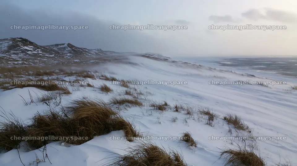 Dune meadow covered in snow during winter season – image library 10608x5938