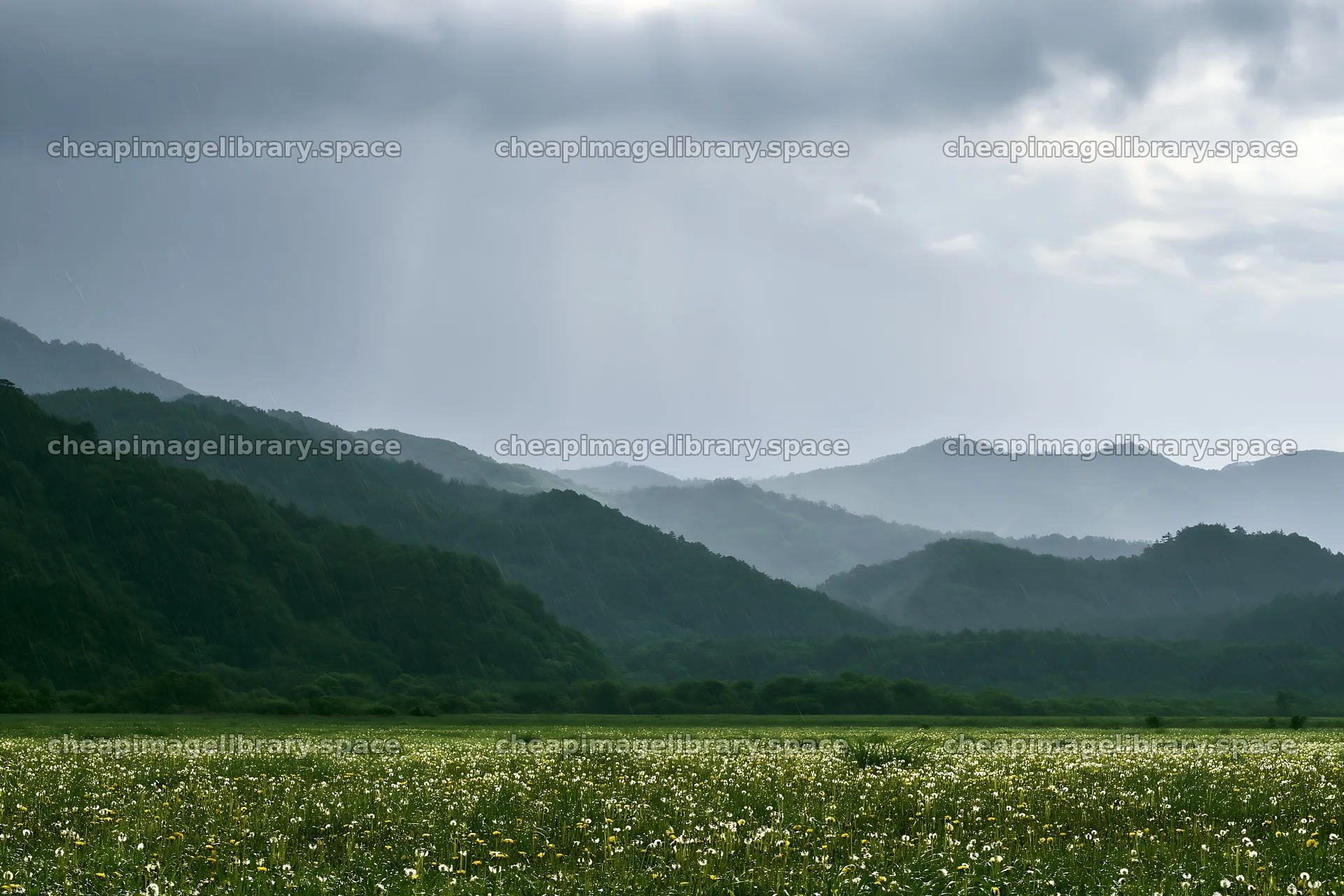 Shizuoka seasonal meadow after heavy rain with clouds above – image library 9722x6480