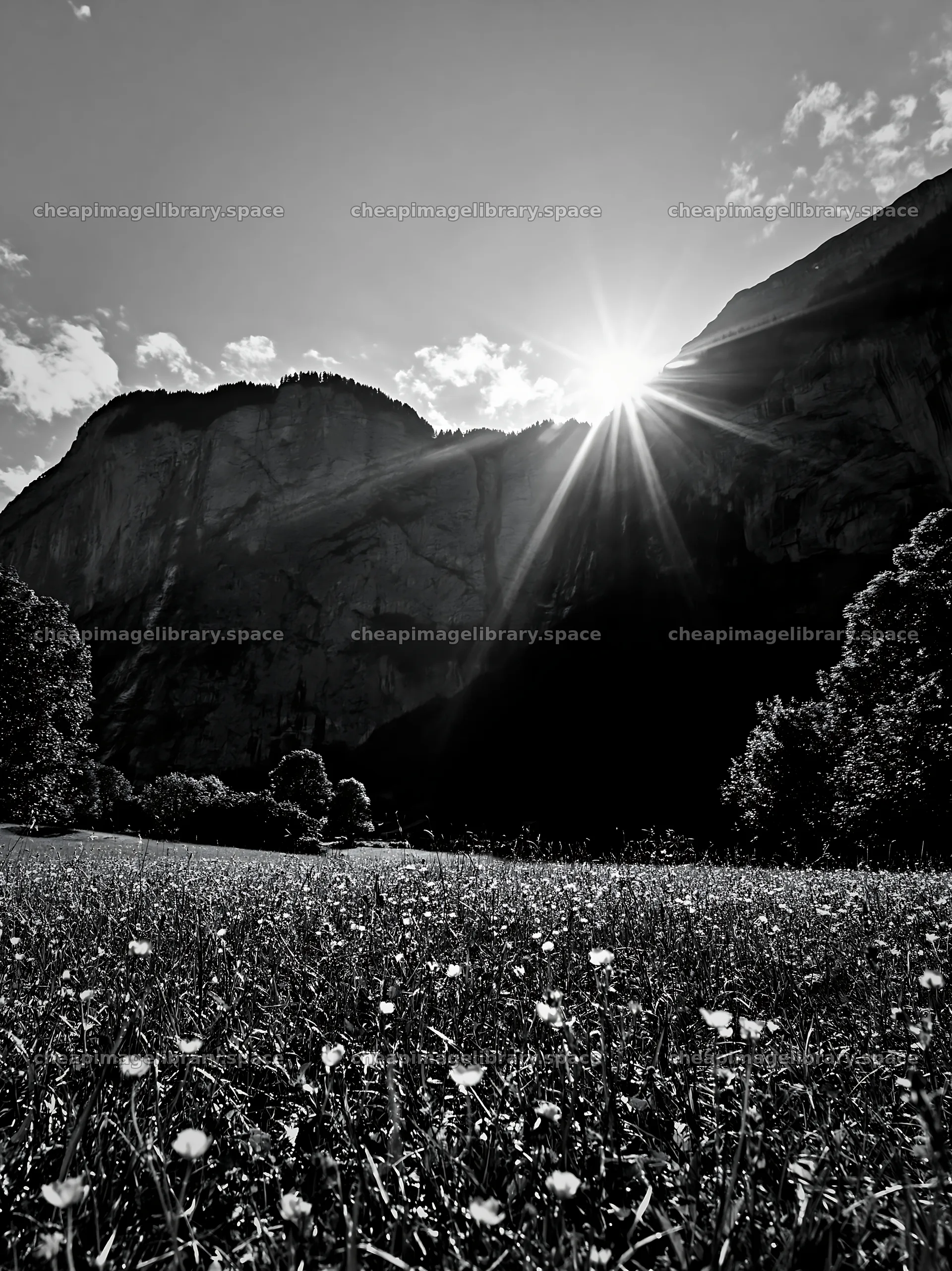 Lauterbrunnen Valley meadow light rays during sunset – image library 6866x9174