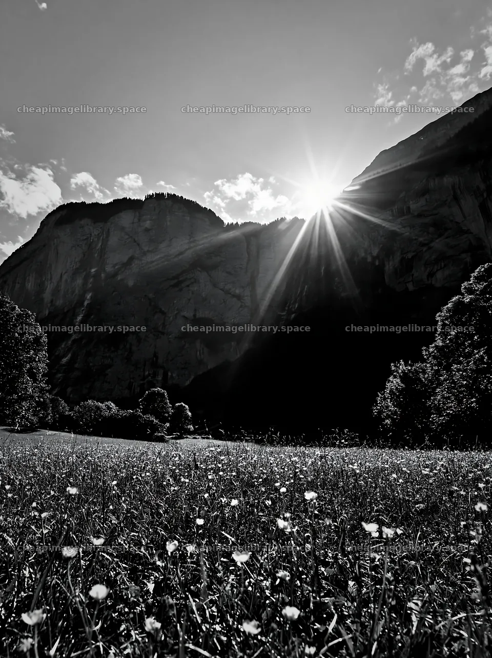 Lauterbrunnen Valley meadow light rays during sunset – image library 6866x9174