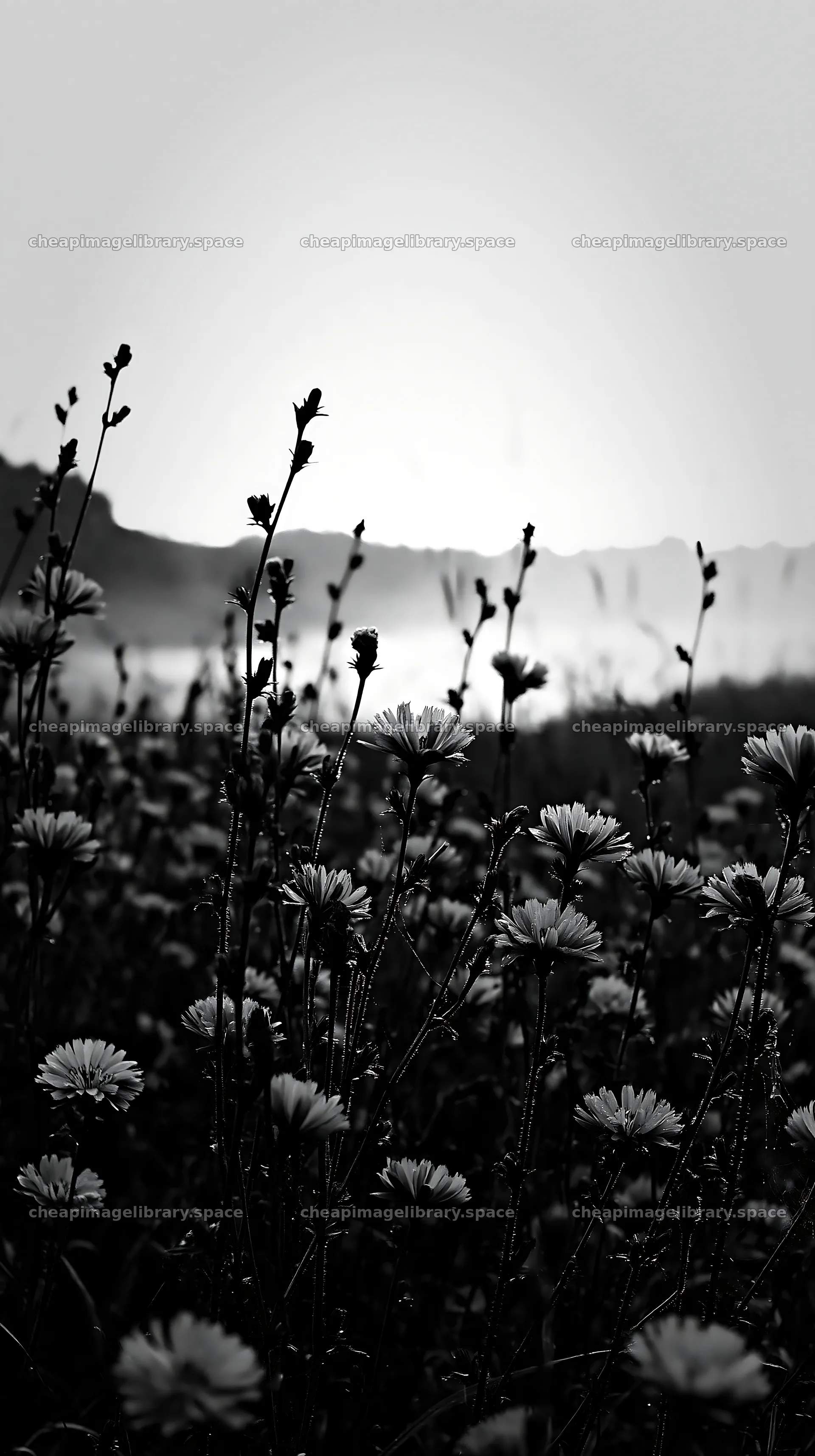 German lakeside meadow with blue flowers and soft evening light – image library 5938x10608