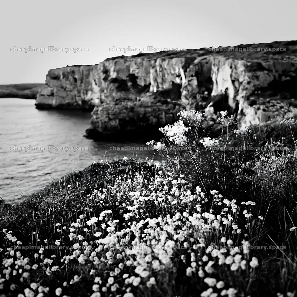 Coastal meadow cliffs with yellow flowers by the sea – image library 7938x7938