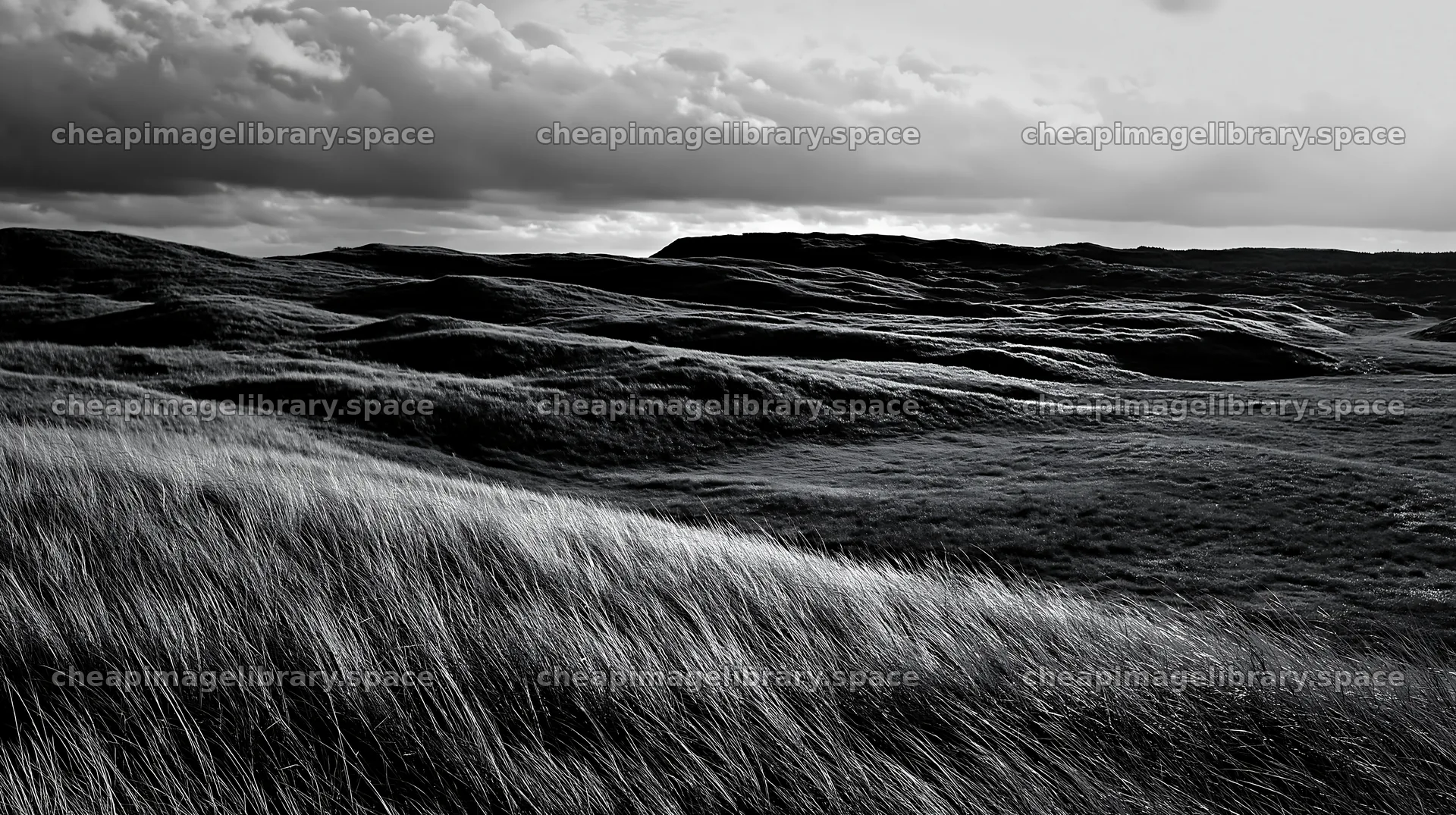Tottori windy meadow with dune grasses features swaying grass – image library 10608x5938