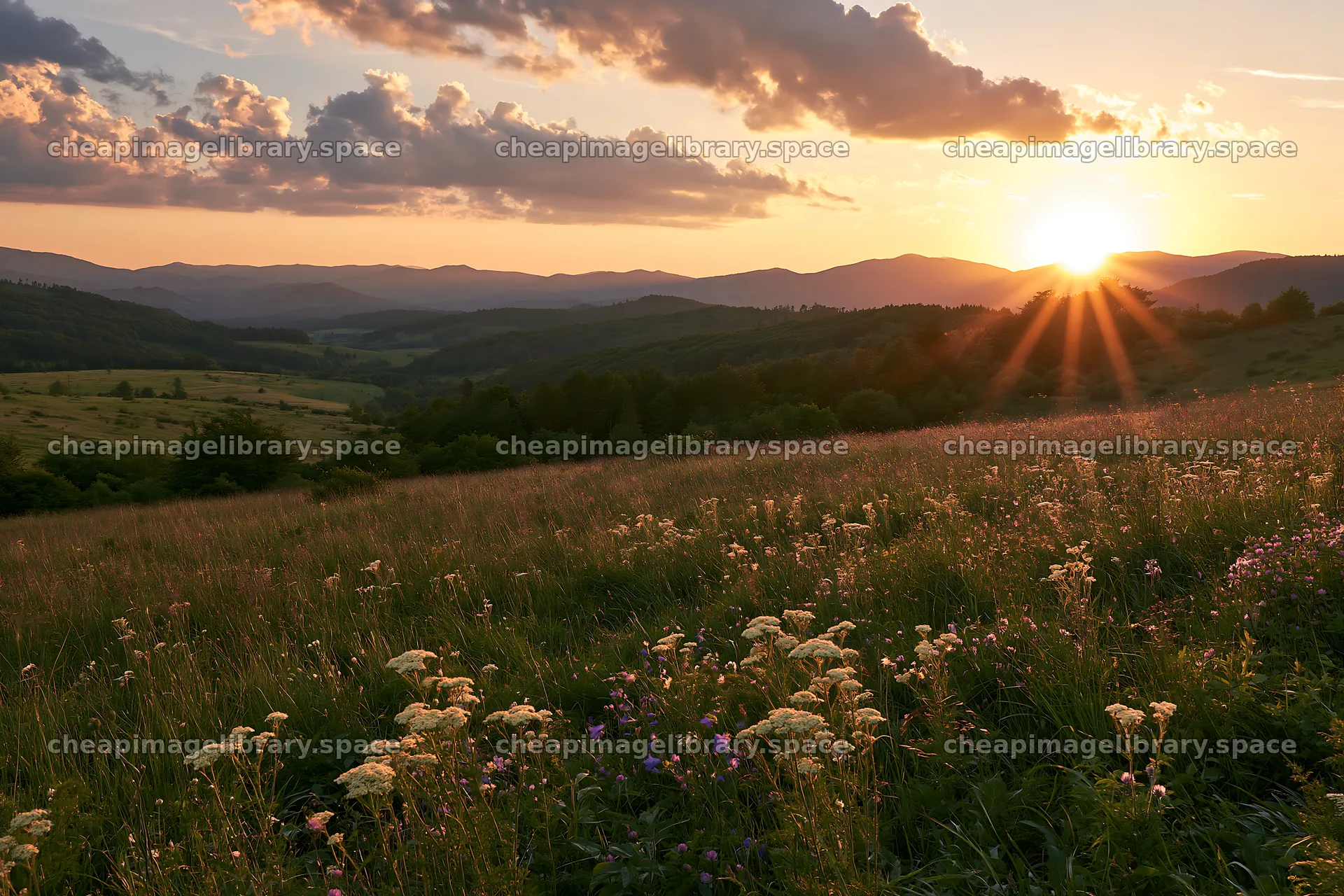 Sunset over Slovak meadow in Carpathian valley – image library 9722x6480