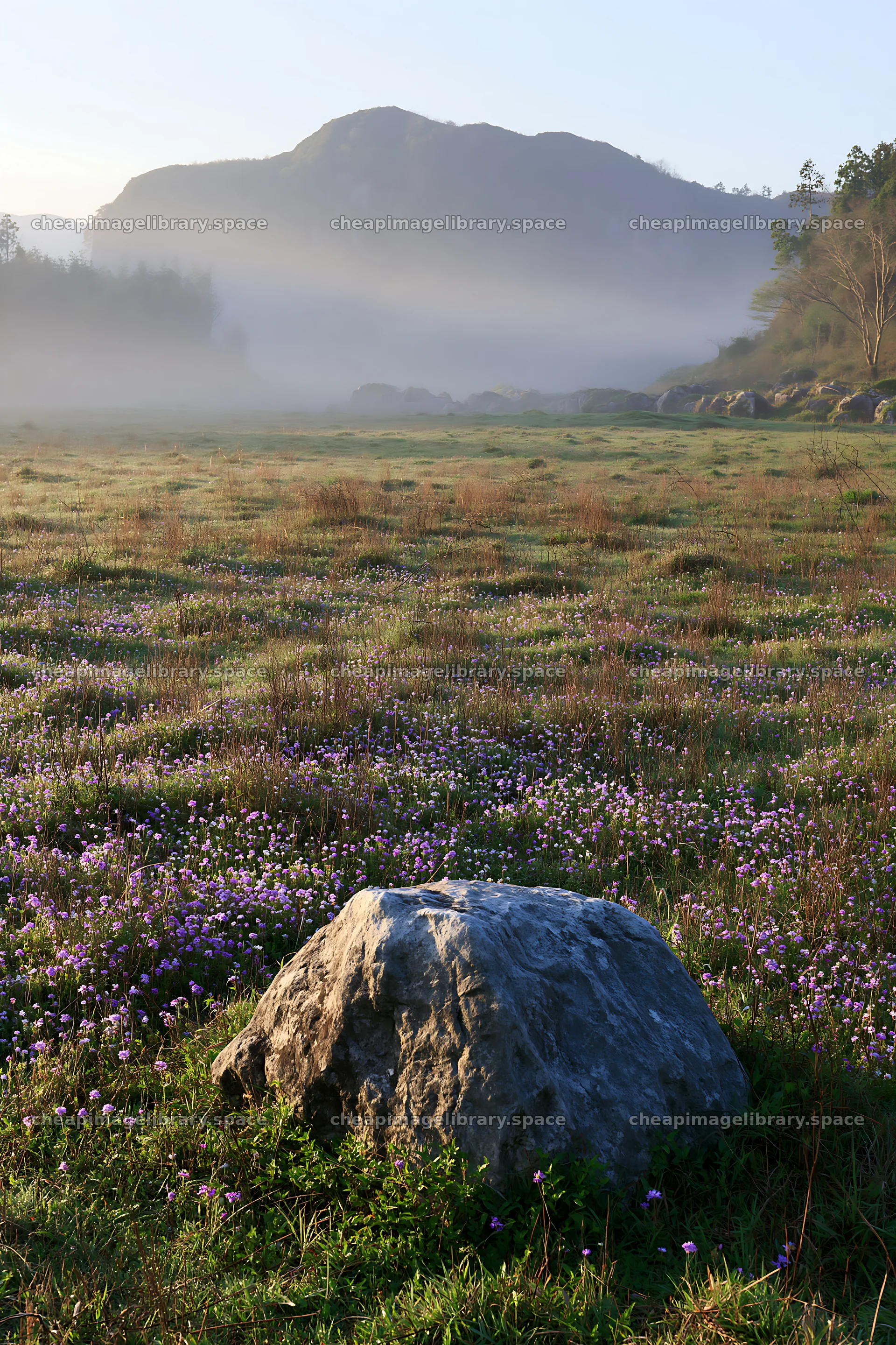 Yamaguchi limestone meadow with pale boulder in morning light – image library 6480x9722