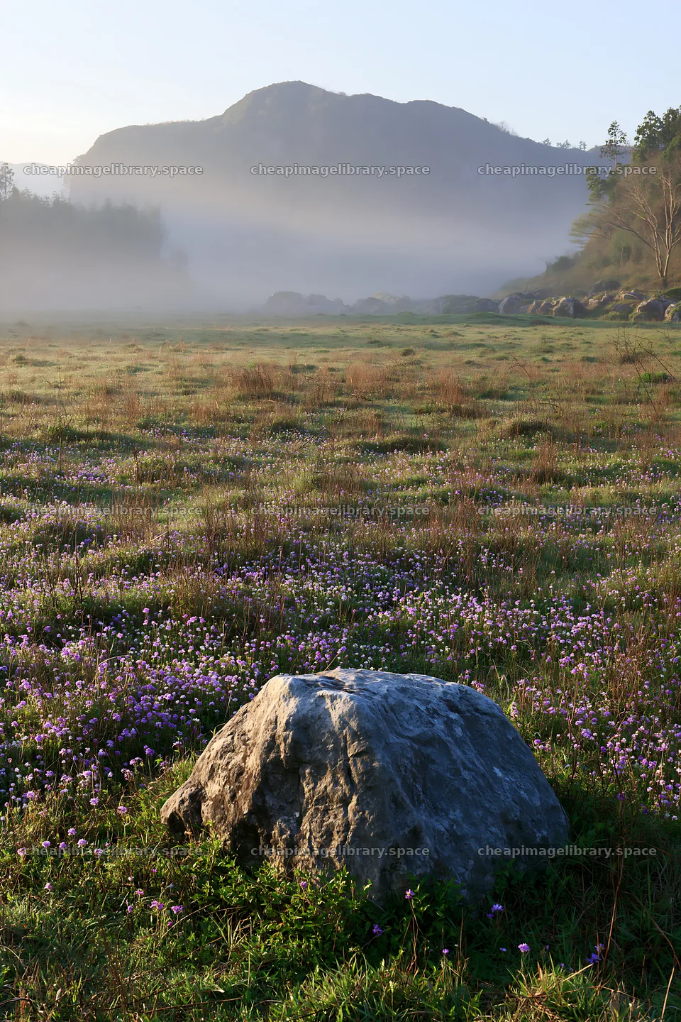 Yamaguchi limestone meadow with pale boulder in morning light – image library 6480x9722