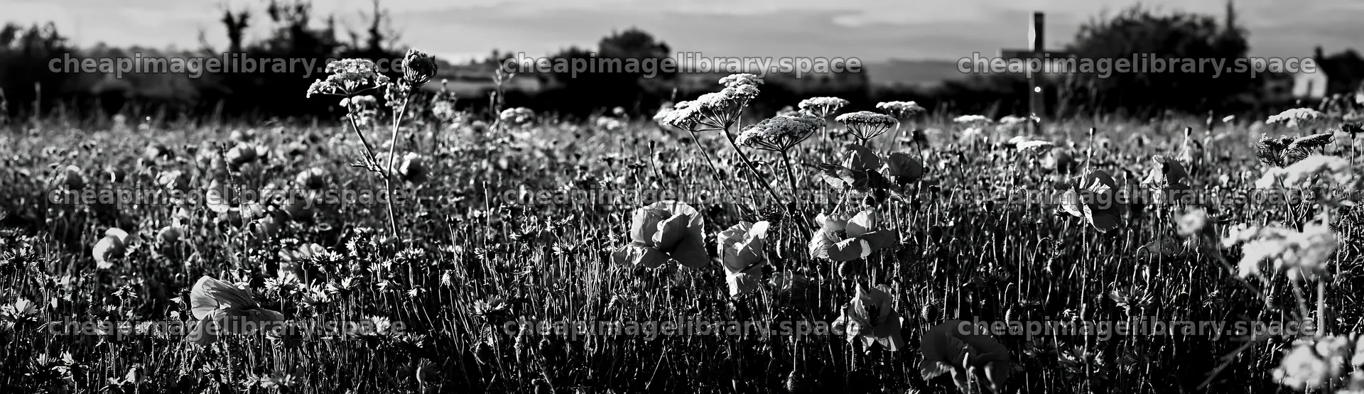 Cross in a meadow with flowers for Christmas card – image library 14762x4268