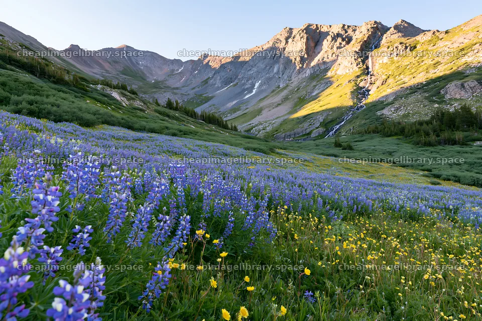 Summer wildflower meadow with waterfall in the mountains – image library 9722x6480