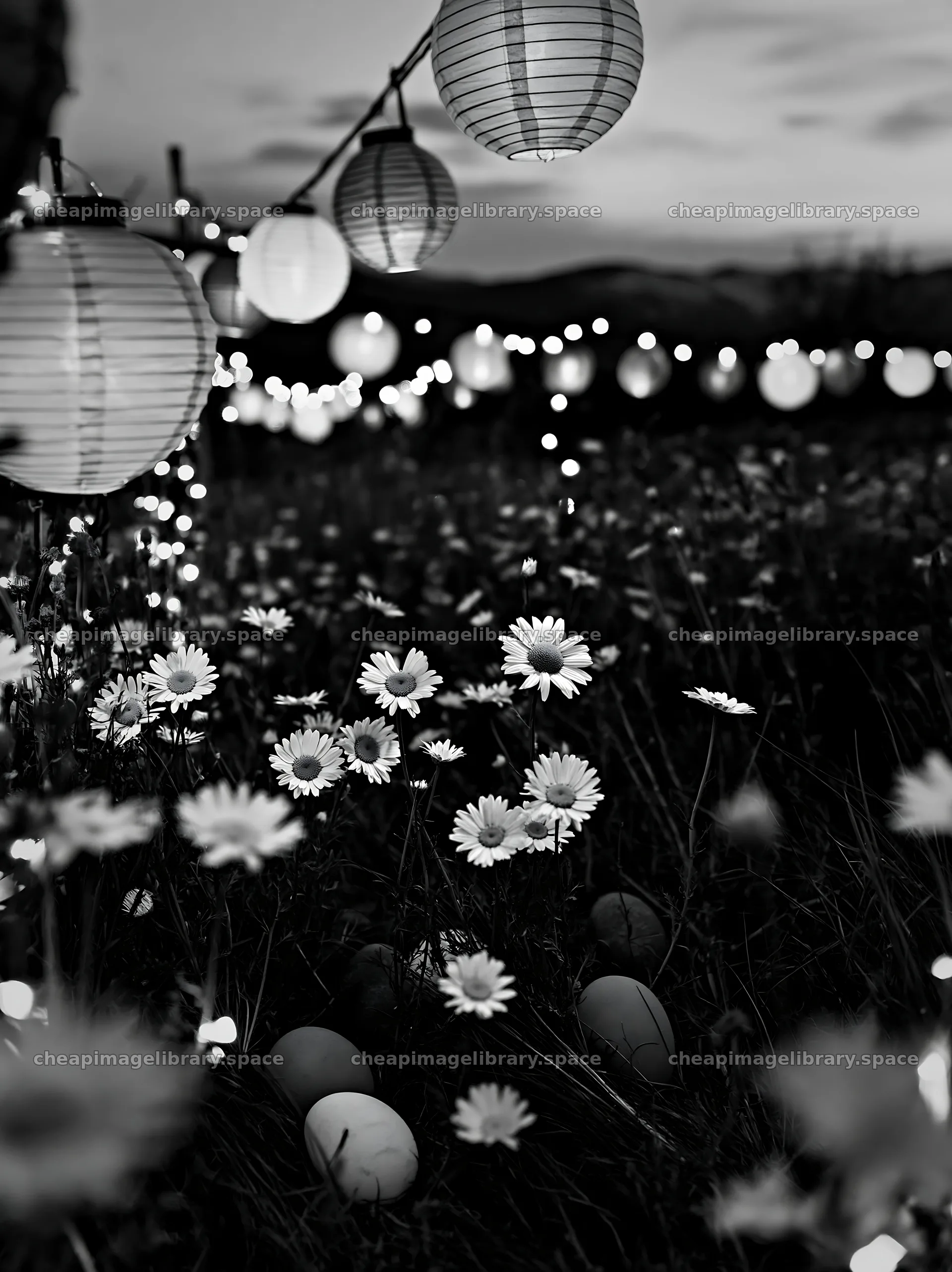 Vibrant Christmas lanterns shine in a meadow at twilight – image library 6866x9174