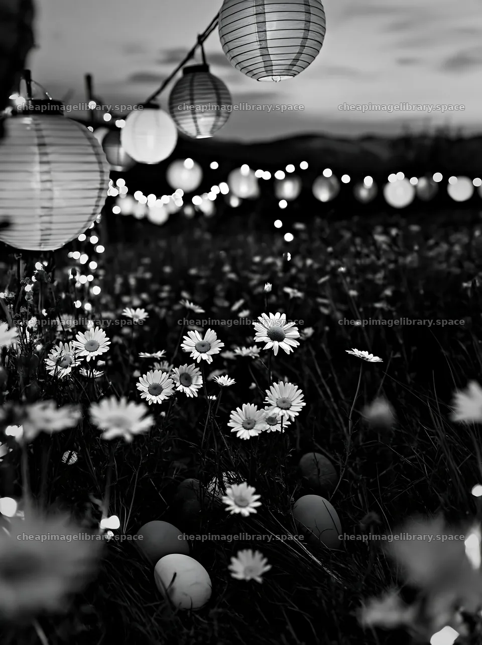 Vibrant Christmas lanterns shine in a meadow at twilight – image library 6866x9174