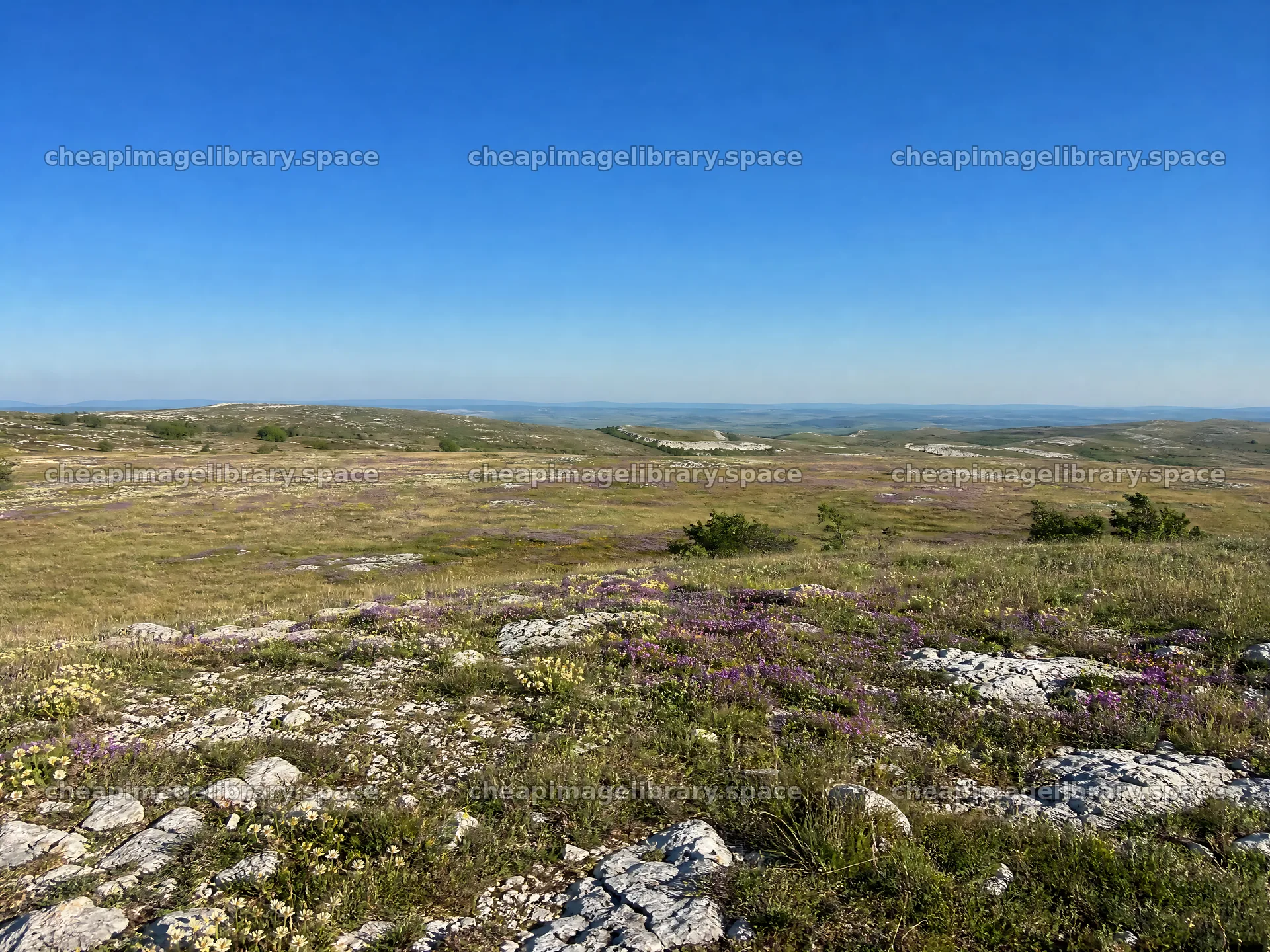 Sunny meadow with open space and rocky terrain – image library 9166x6874