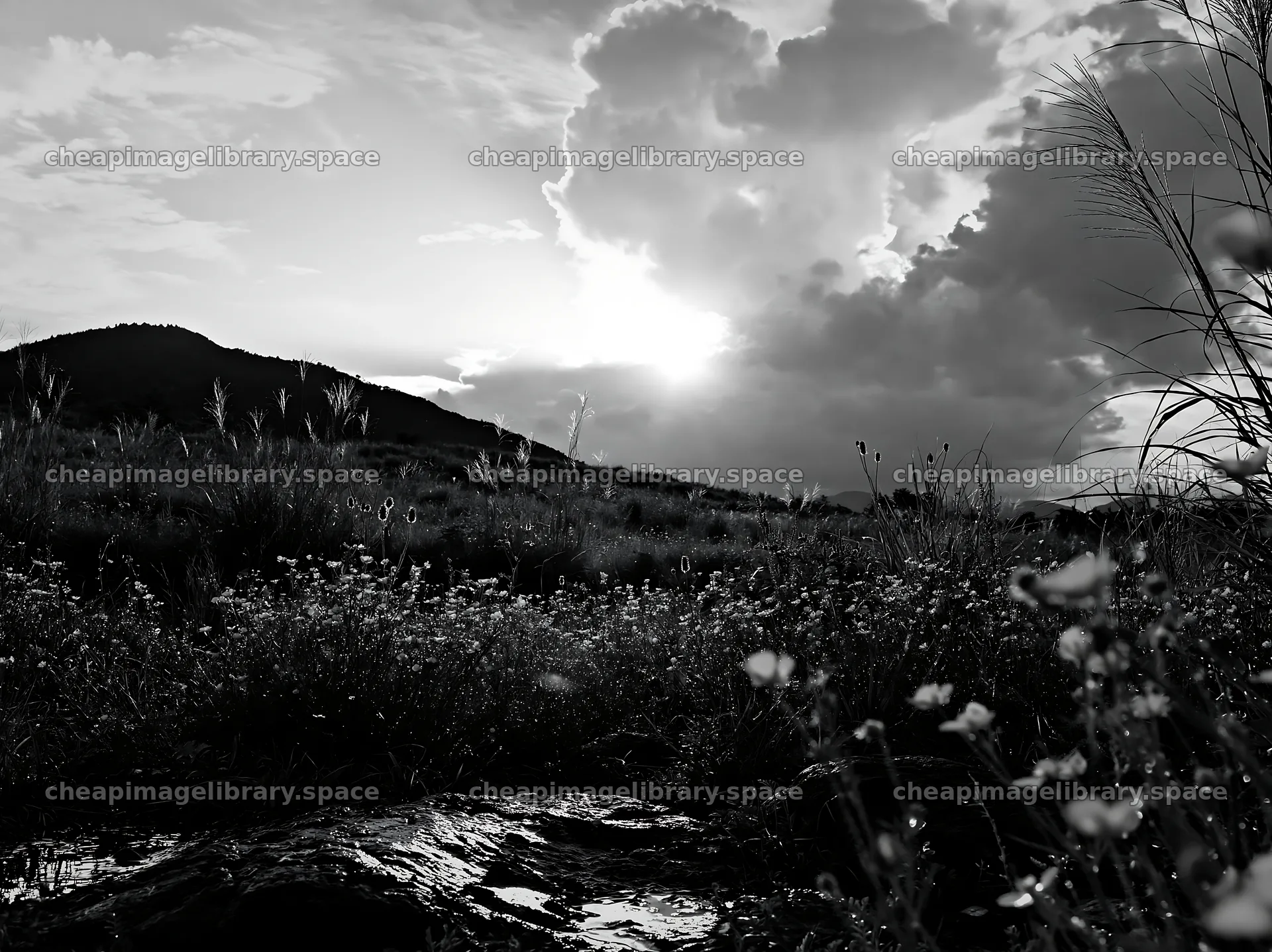 Yamanashi regenerative meadow with basalt stones under sunset – image library 9174x6866