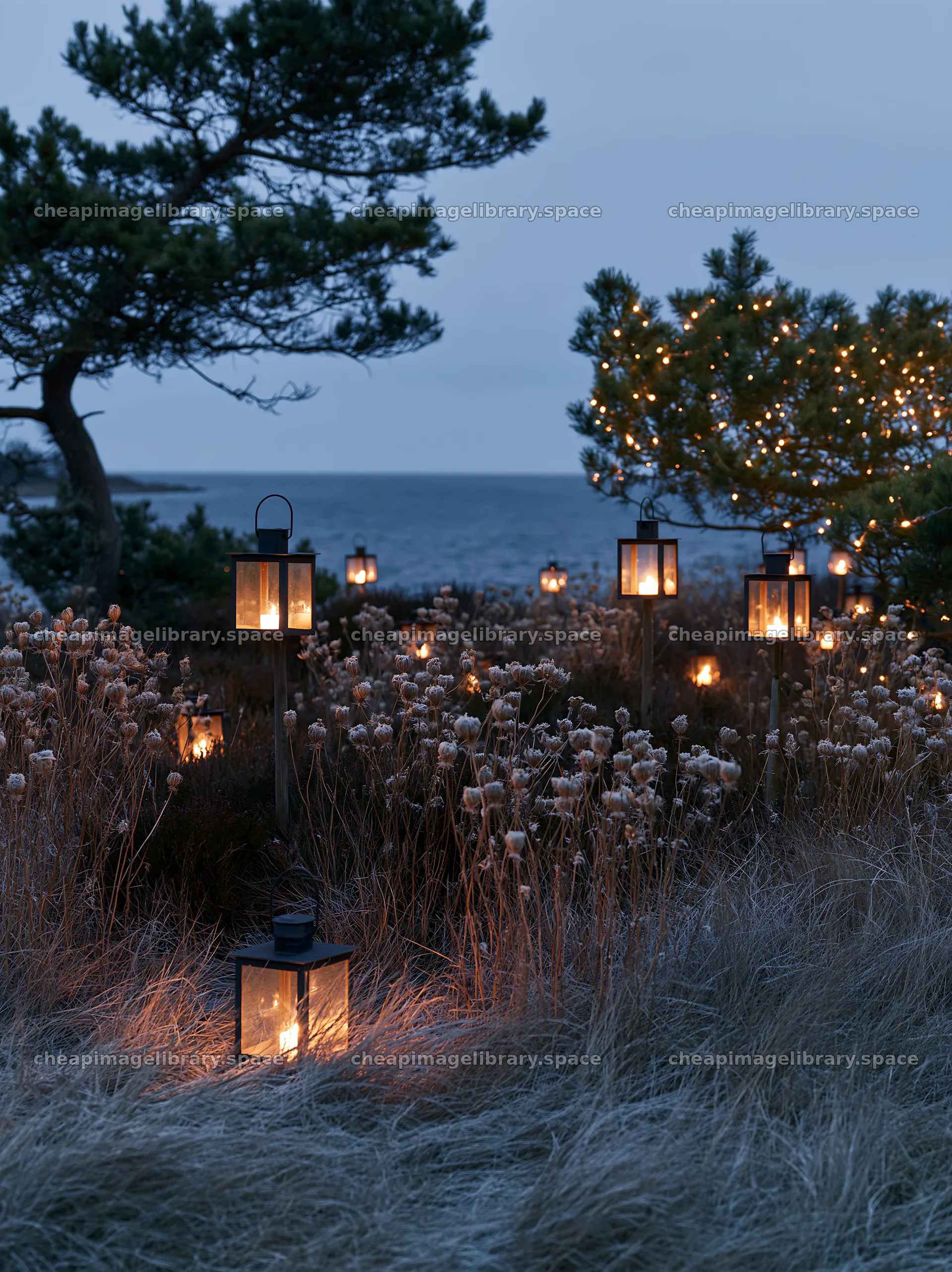 Frosty meadow with lanterns and seedheads during winter dusk – image library 6866x9174