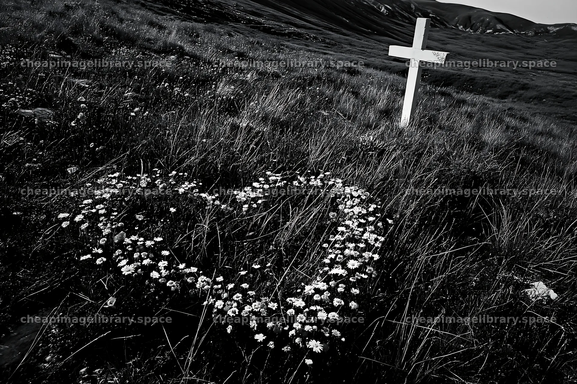 Christian cross in meadow with flower heart shape – image library 9722x6480