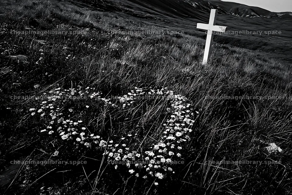 Christian cross in meadow with flower heart shape – image library 9722x6480