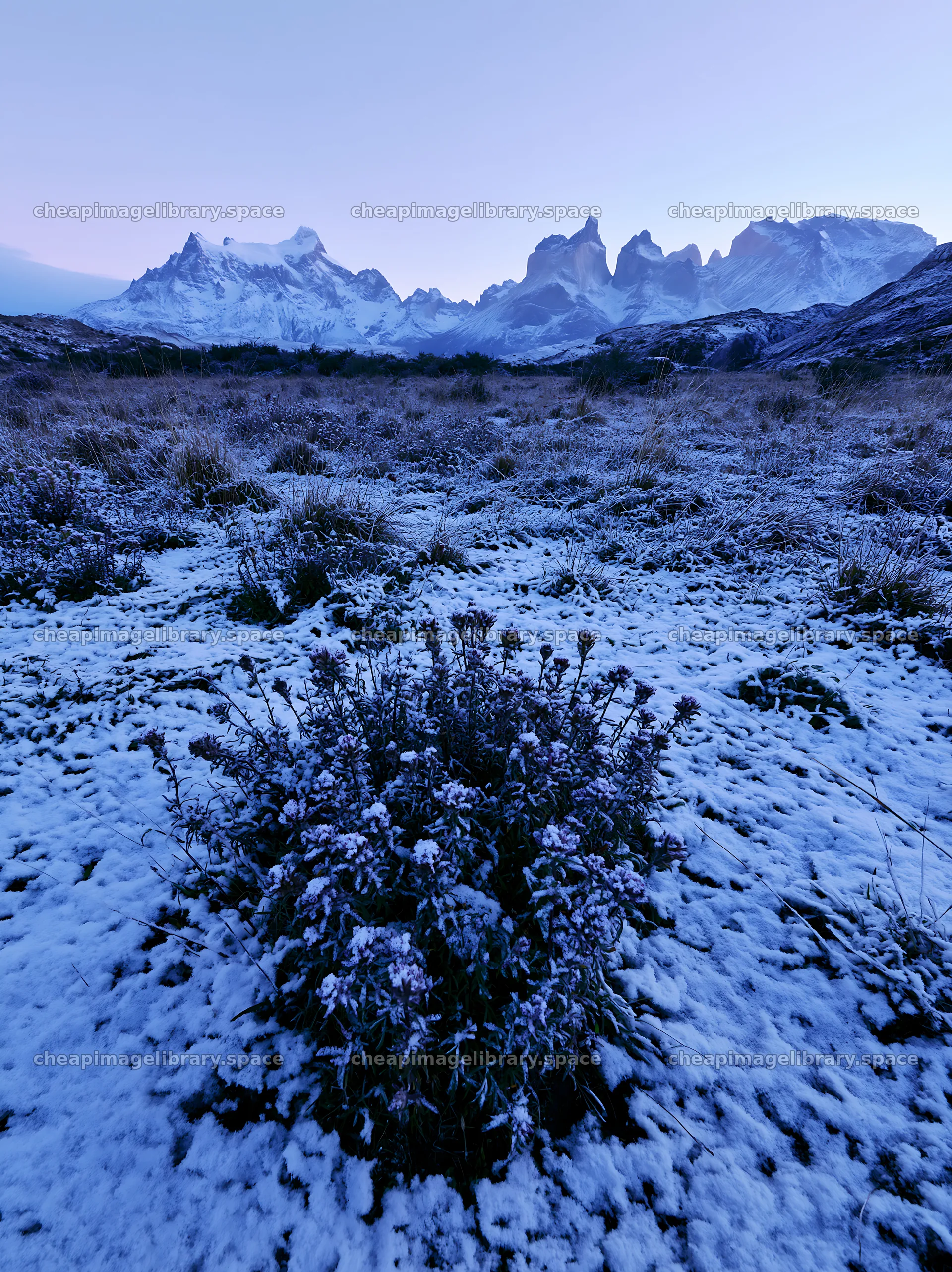 Torres del Paine meadow snow with mountains in the background – image library 6866x9174