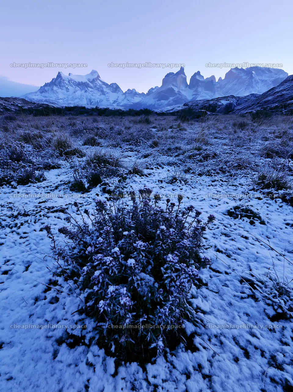 Torres del Paine meadow snow with mountains in the background – image library 6866x9174