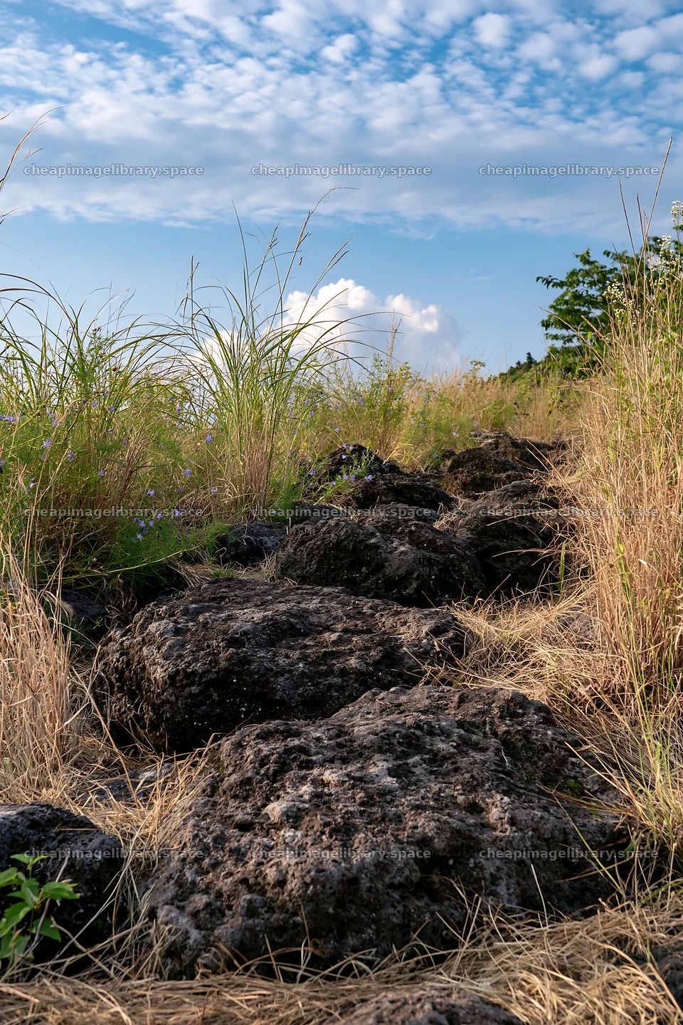 Kanagawa meadow with volcanic stones and grass under blue sky – image library 6480x9722