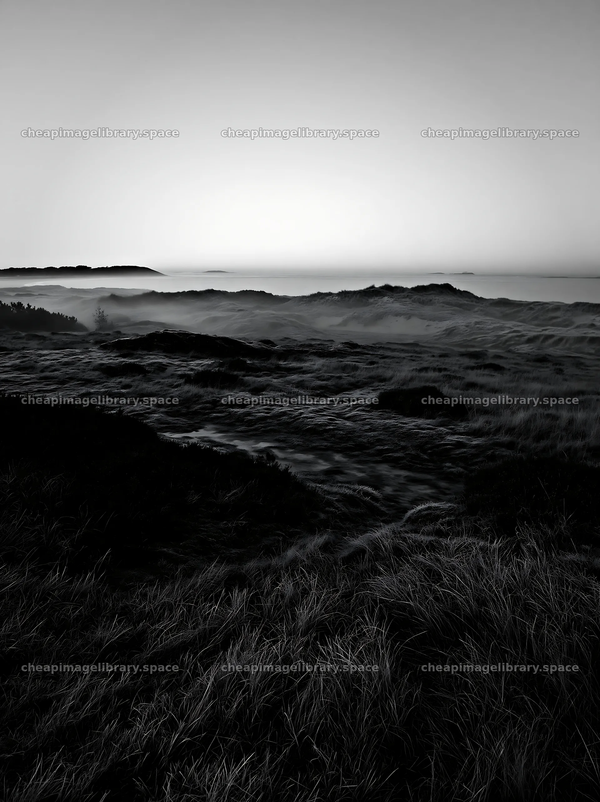 Frosty coastal meadow at dawn with mist over the landscape – image library 6866x9174