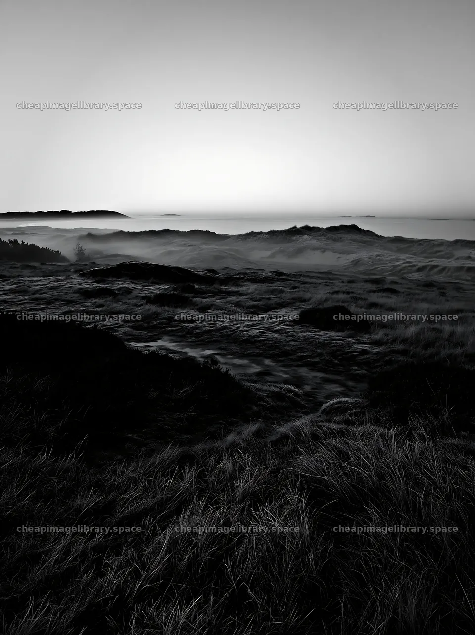 Frosty coastal meadow at dawn with mist over the landscape – image library 6866x9174