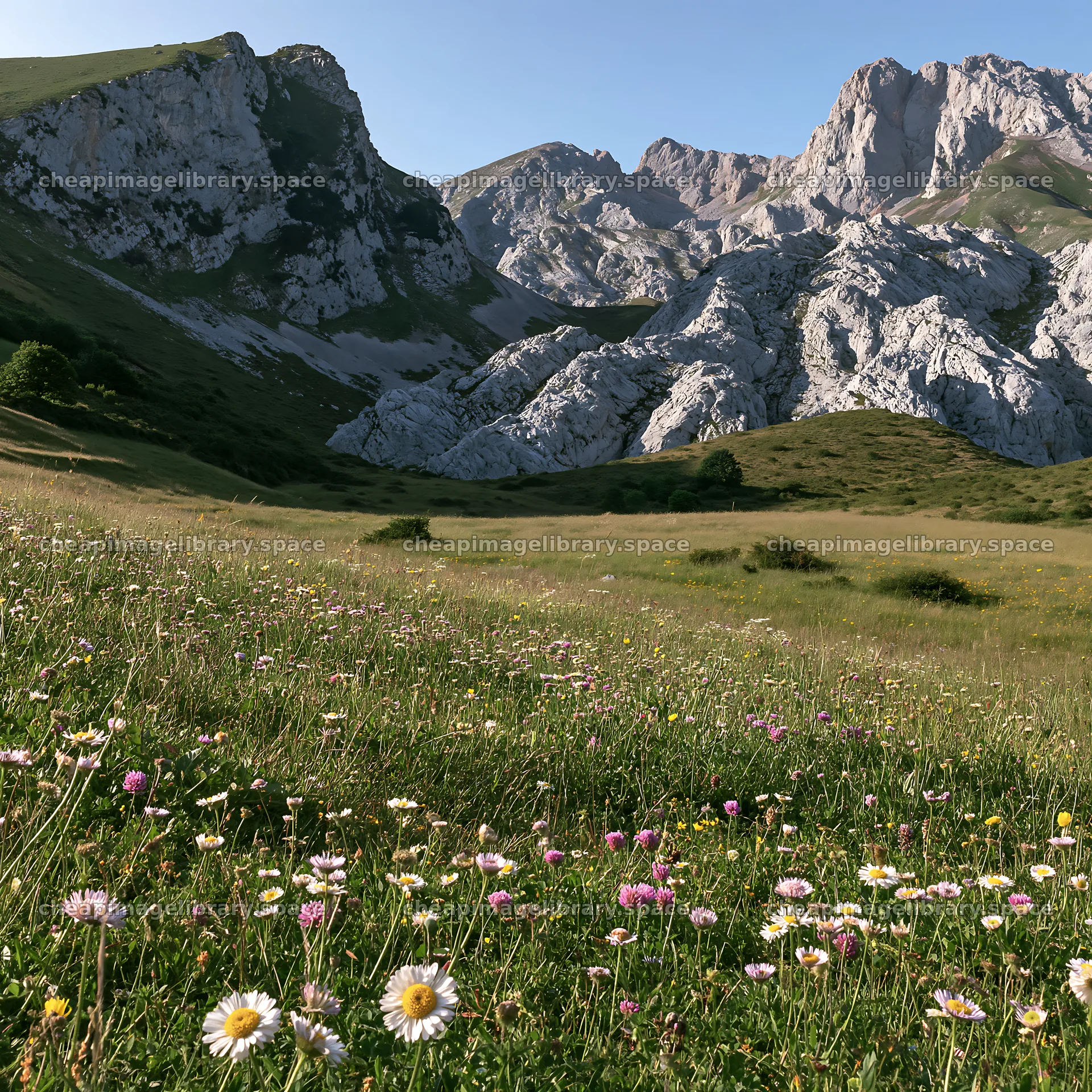 Meadow with flowers under rocky crags in daylight – image library 7938x7938