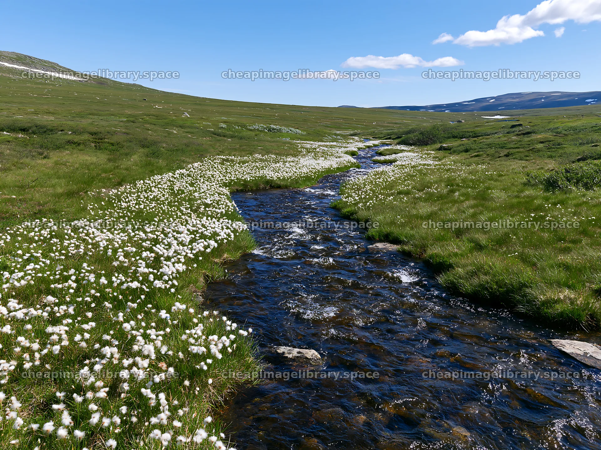 High contrast meadow with a natural watercourse – image library 9174x6866