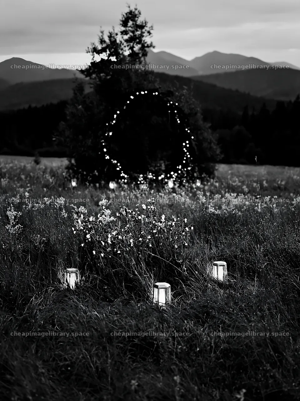 Vast Christmas meadow wreath in Tatra Mountains – image library 6866x9174
