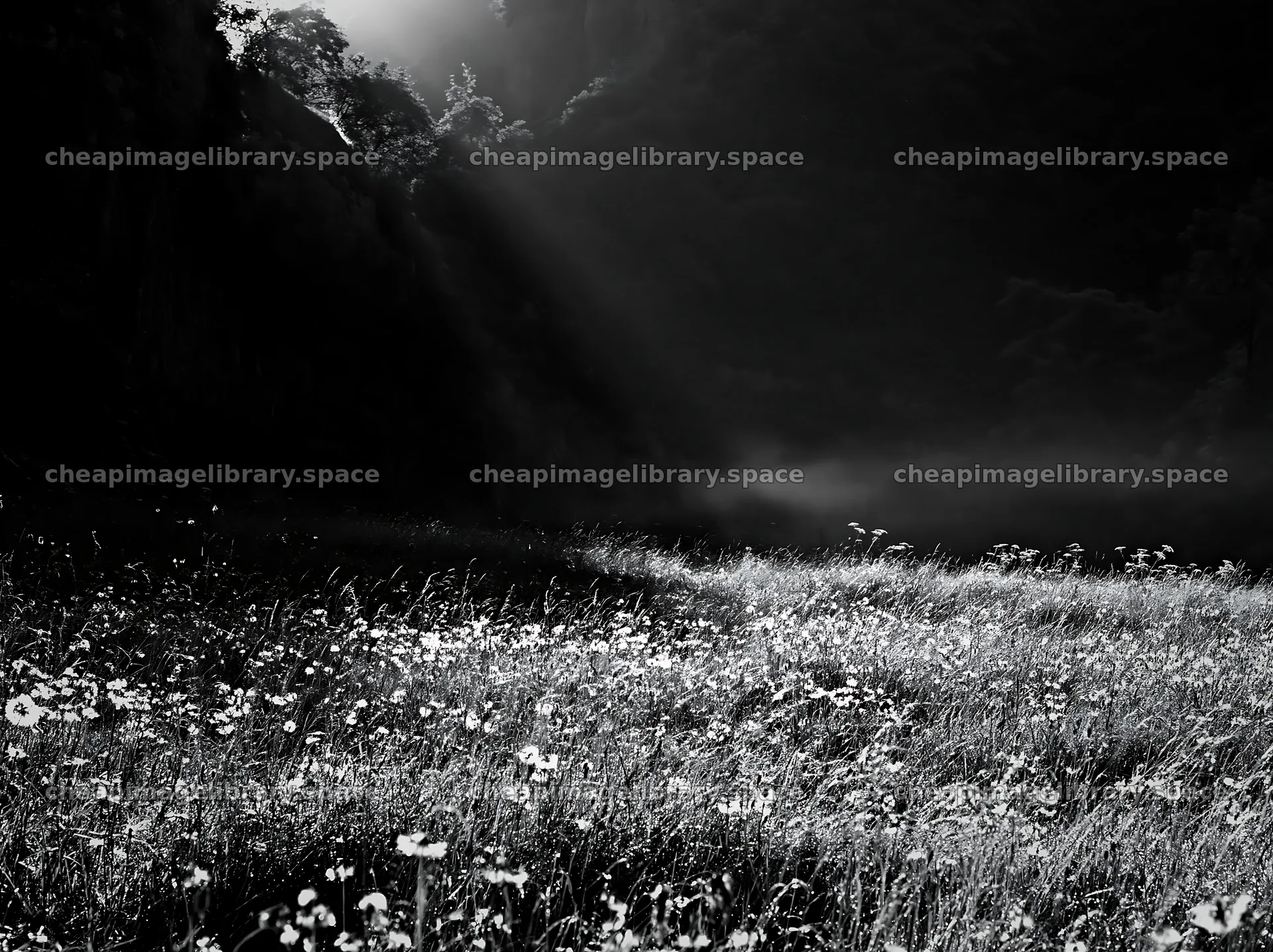 Meadow beneath crags with soft light filtering through trees – image library 9174x6866