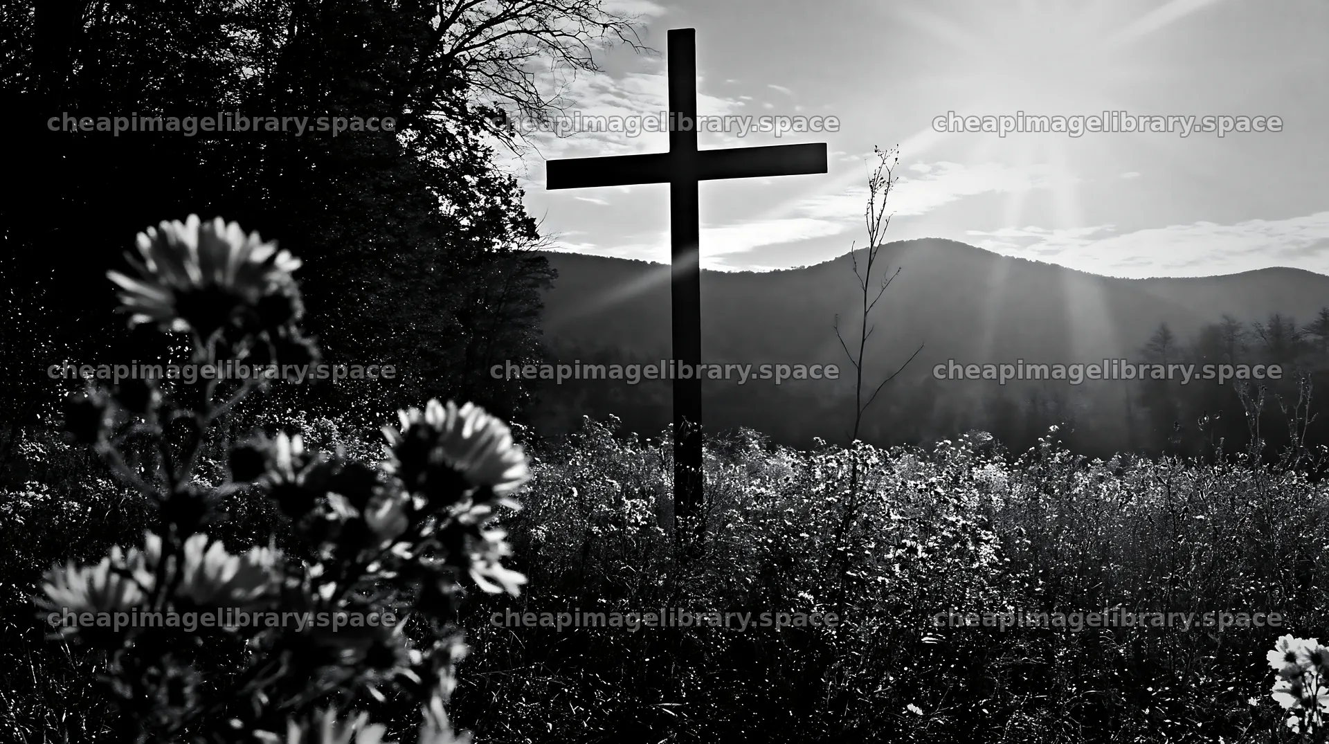 Iron Christian cross in a winter meadow with sunlight – image library 10608x5938