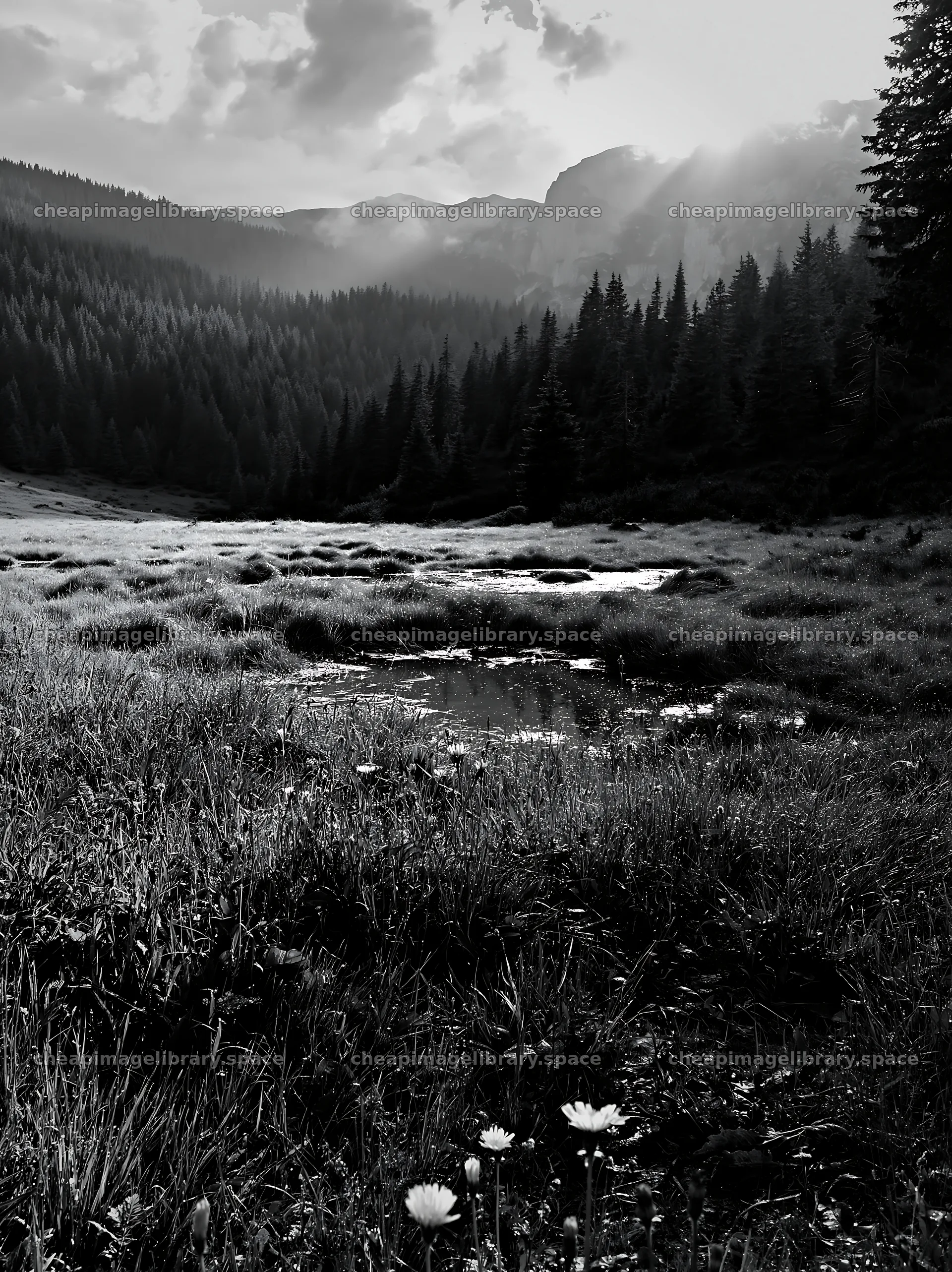 Light rays over meadow in Bucegi Mountains – image library 6866x9174