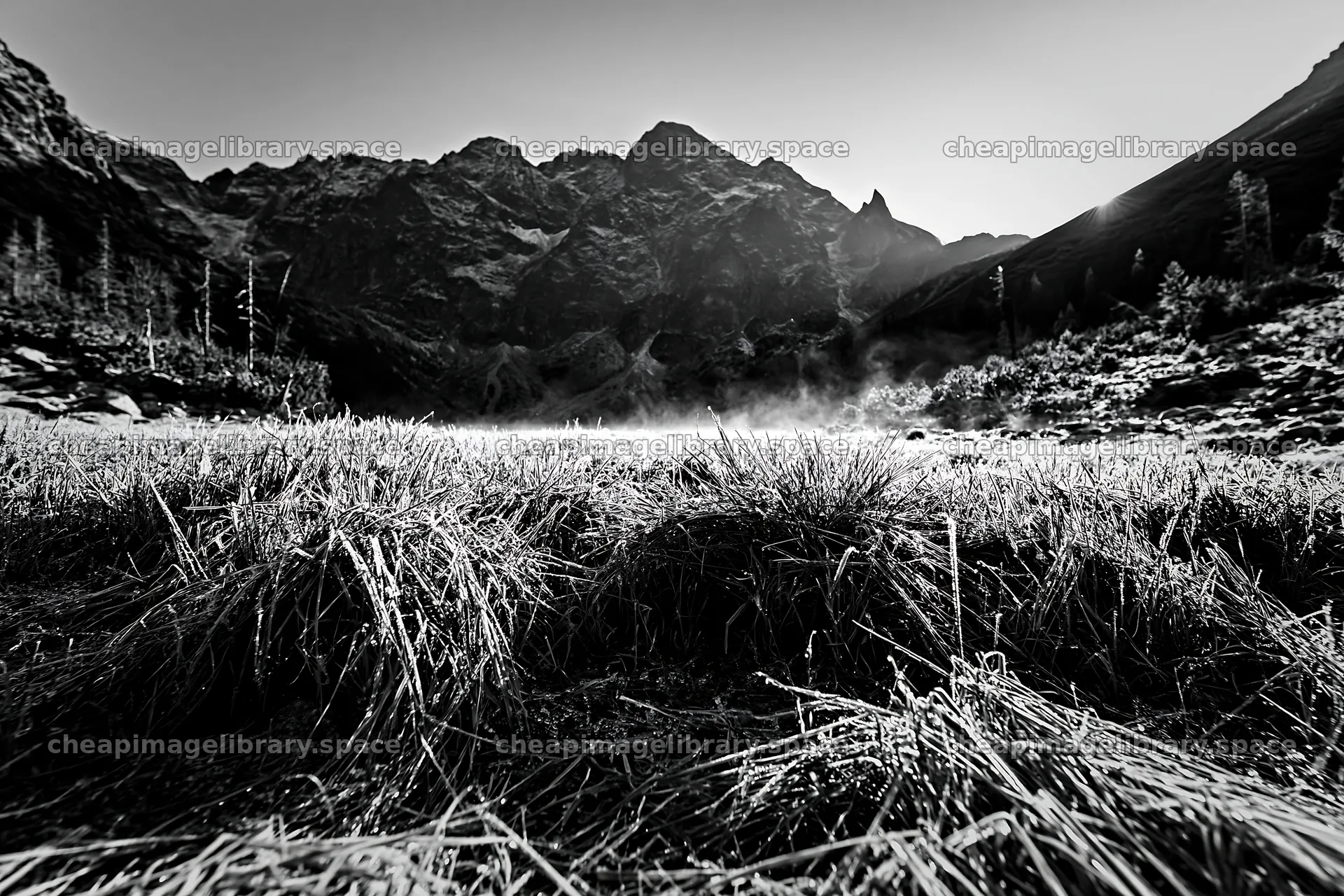 Rolling valley meadow with mountains in black and white – image library 9722x6480