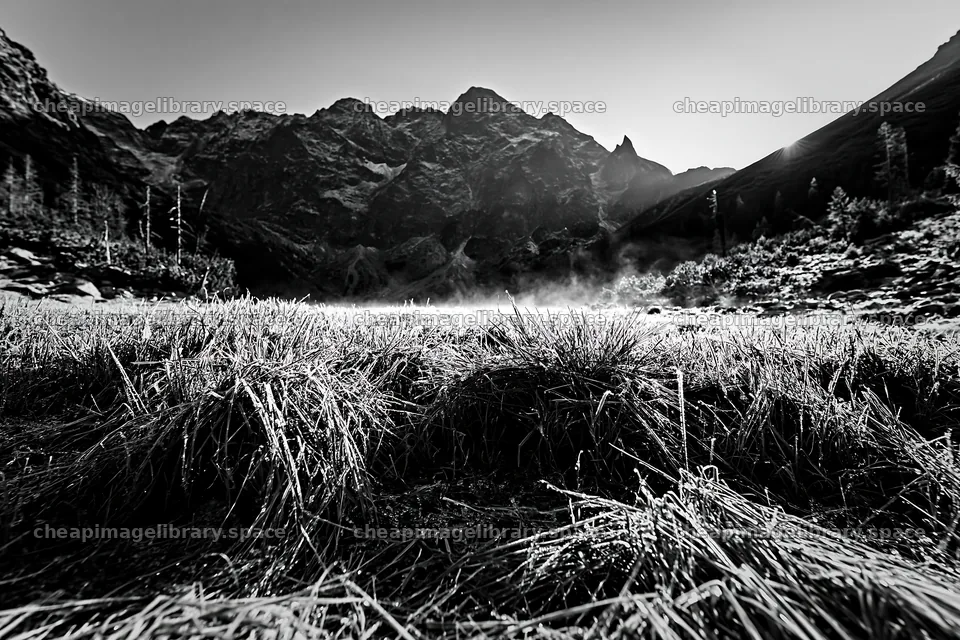 Rolling valley meadow with mountains in black and white – image library 9722x6480
