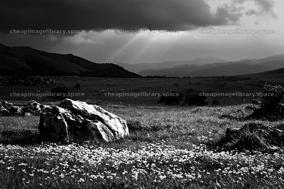 Yamaguchi limestone meadow with pale boulder under cloudy sky – image library 9722x6480