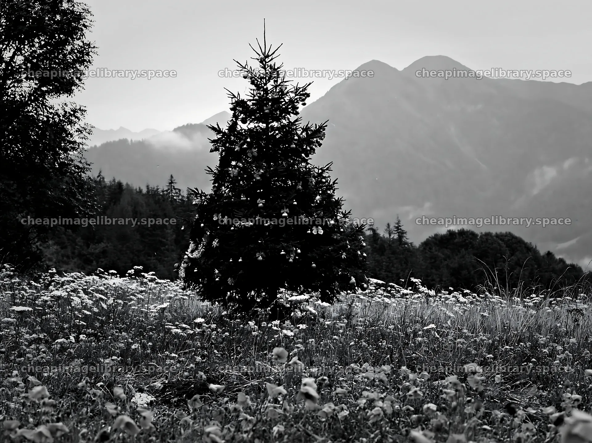 Christmas tree decorated with baubles in mountain meadow – image library 9174x6866