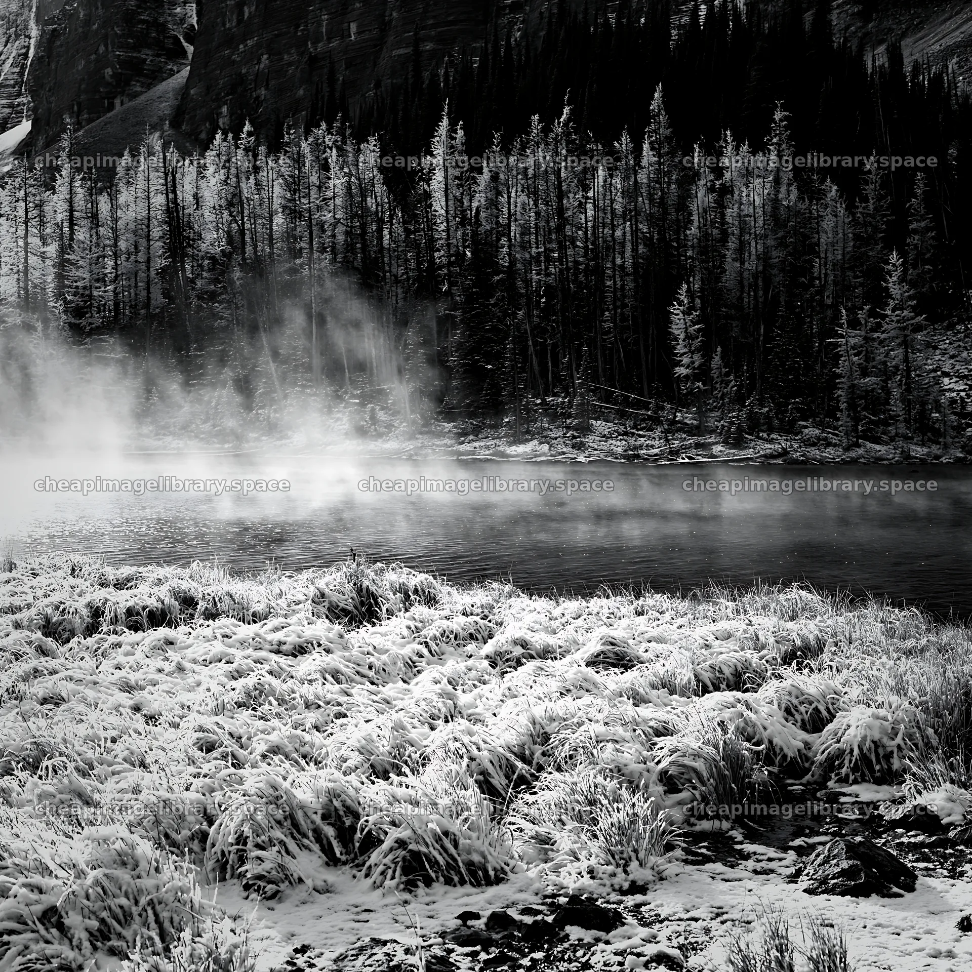 Snowy lakeside meadow with mist and trees in winter – image library 7938x7938