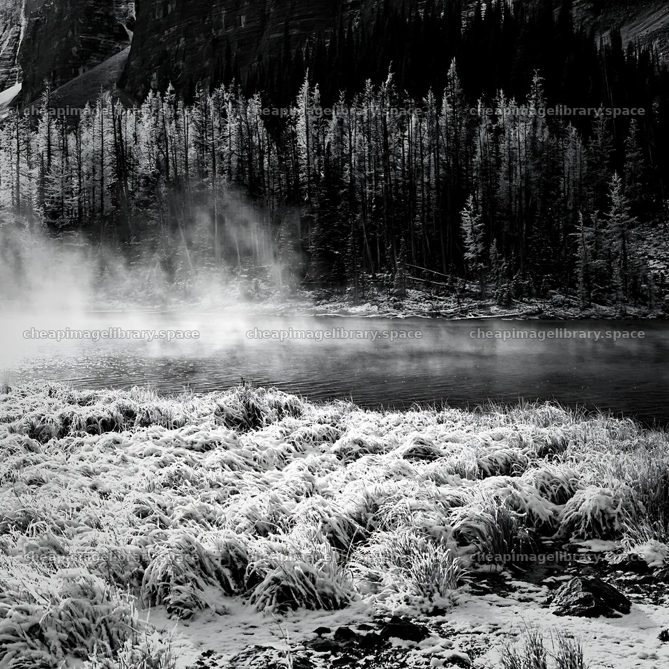 Snowy lakeside meadow with mist and trees in winter – image library 7938x7938