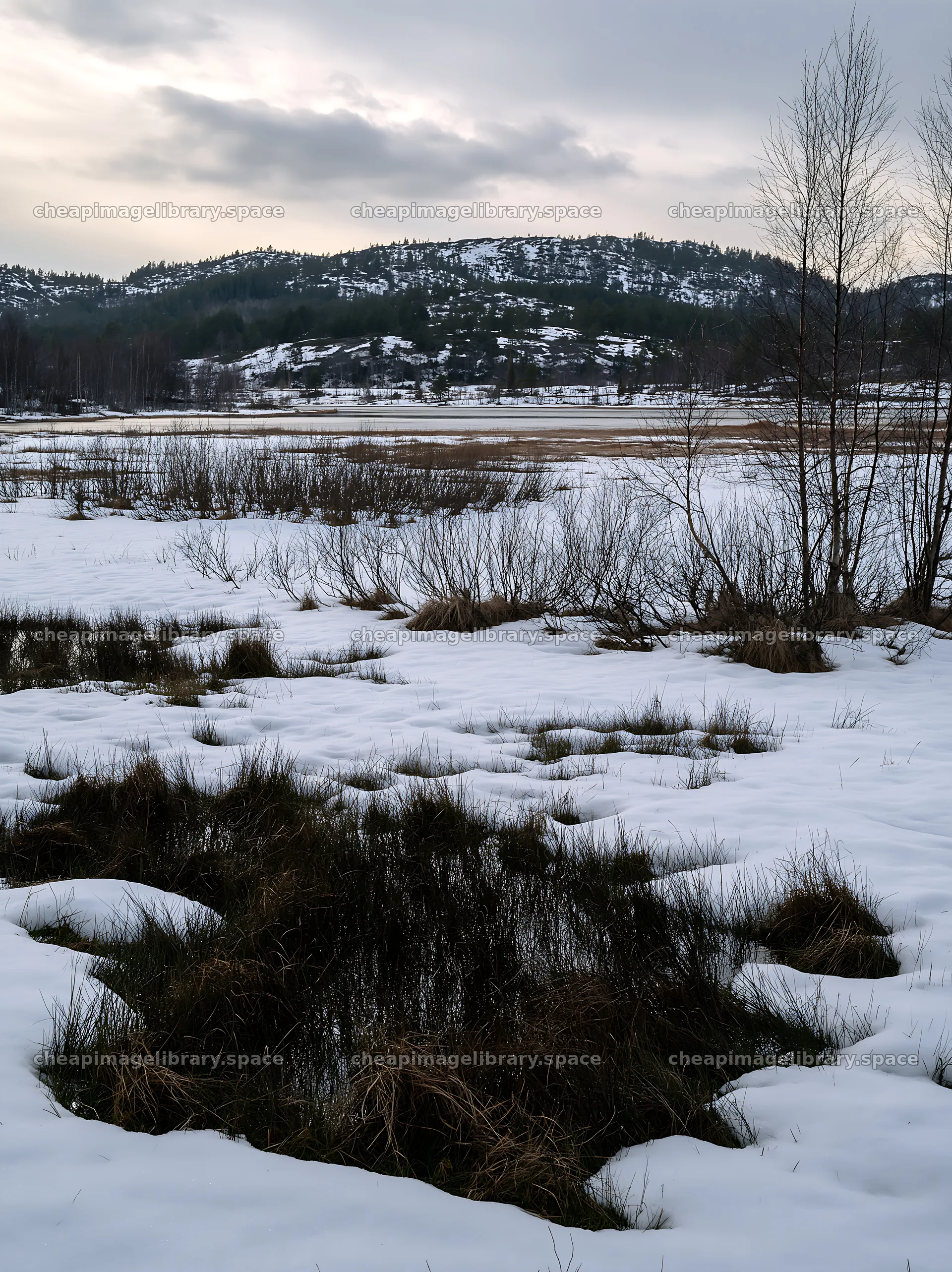 Snowy lakeside meadow with mountains in the background – image library 6866x9174