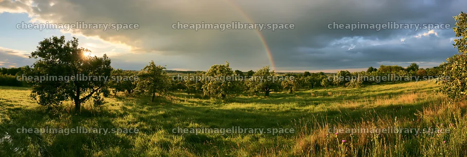 Rainbow over apple meadow in valley at sunset – image library 13690x4602