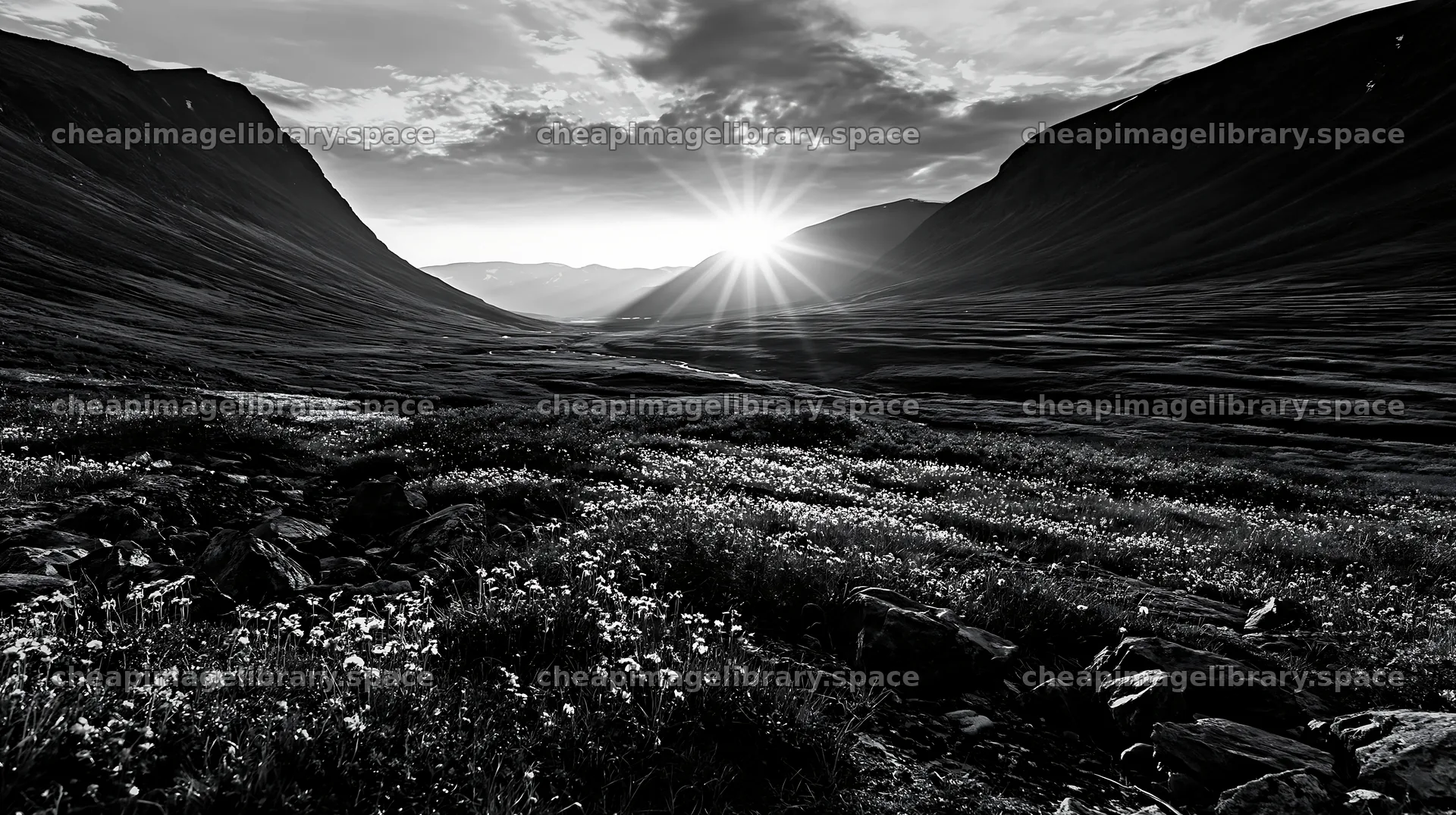 Jotunheimen valley meadow sunbeams create a scenic view – image library 10608x5938