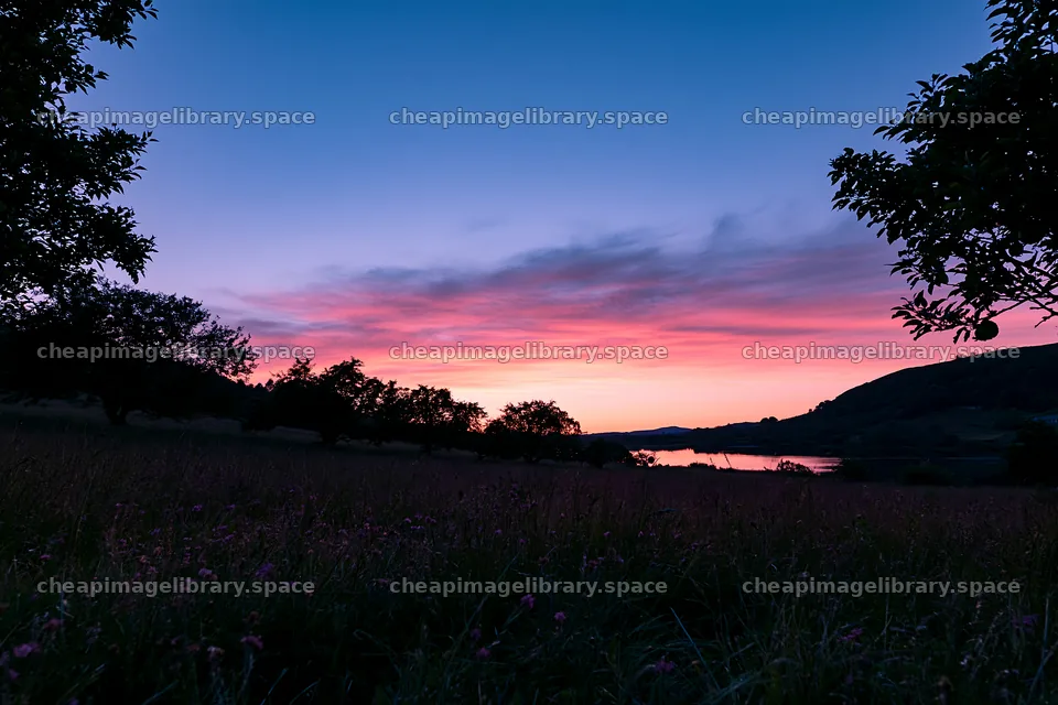 Highland apple meadow at sunset with colorful sky – image library 9722x6480