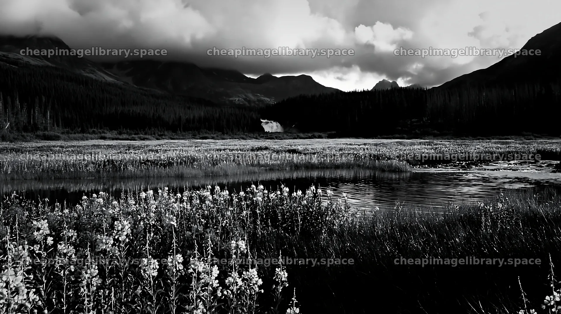 Flower meadow with waterfall reflection under cloudy sky – image library 10608x5938