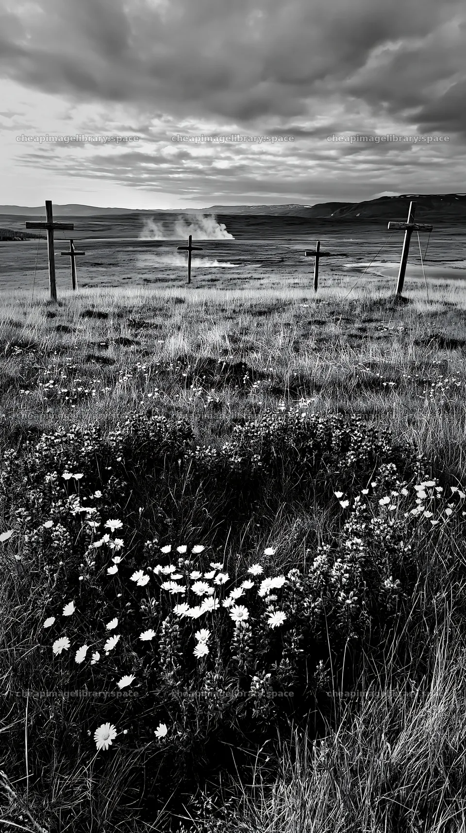 Christian crosses near geothermal spring meadow – image library 5938x10608