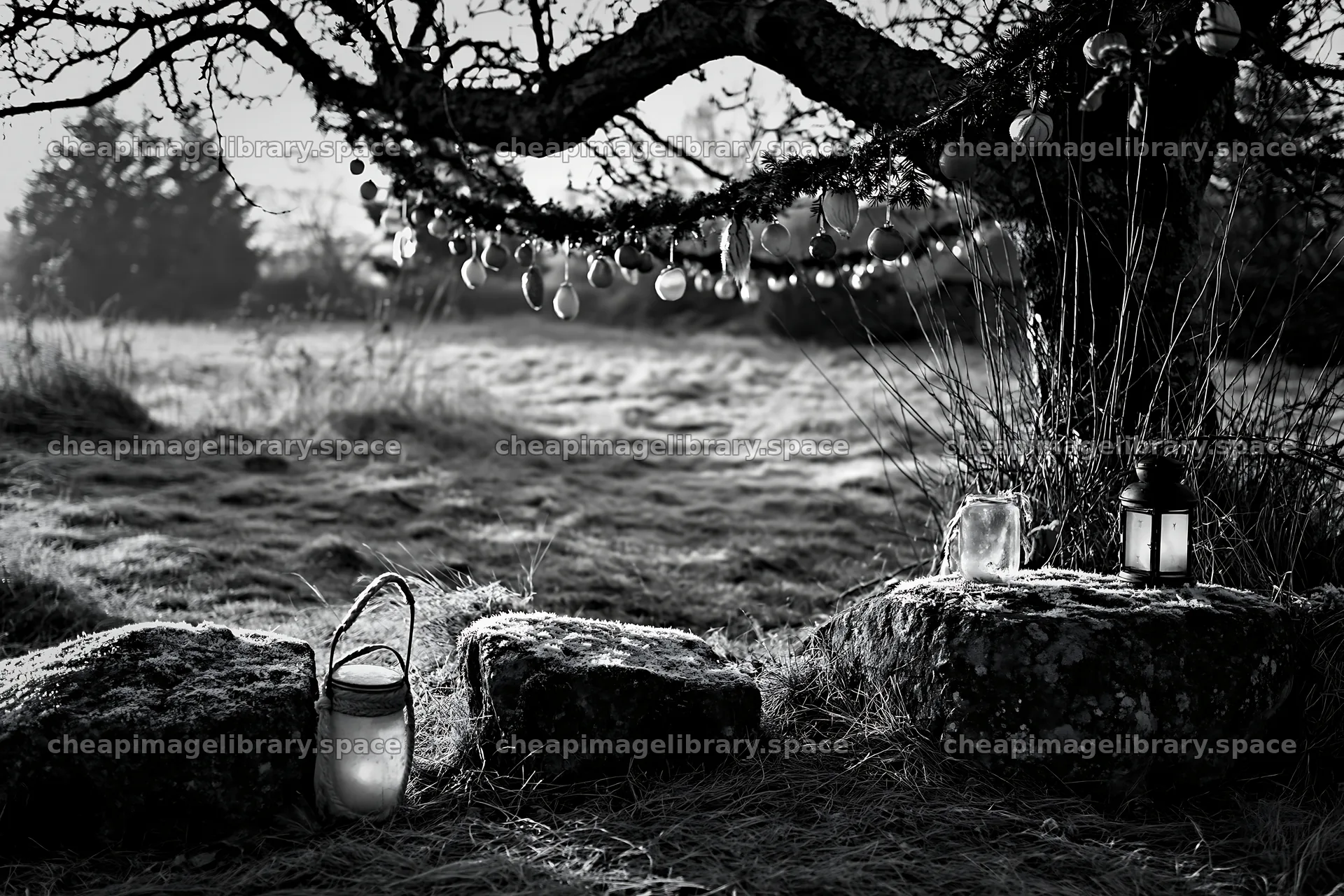 Christmas apple tree with lanterns and frosted stones in meadow – image library 9722x6480